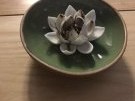 上海浦东新区spa按摩会所推荐哪家好玩