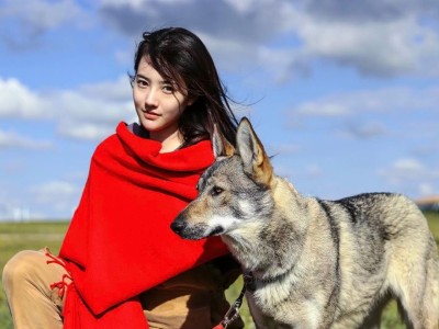 松江有什么好的养生馆吗在哪里啊多少钱