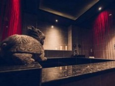 上海男子spa养生店有哪些地方好玩点